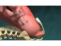 Download Lagu Parto Vaginal Normal