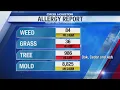 Thursday Allergy Alert Grass and tree pollen levels remain high CW39