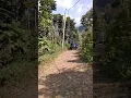 Download Lagu Perjalanan menuju gunung lingga,masih ada jalan yang belum d hotmix