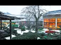Download Lagu A Hot Spring Ryokan Built Around a Japanese Courtyard | Kanazawa Takitei