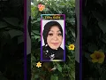Download Lagu Ermy Kullit _ Dulu Dan Sekarang #artist #indonesia #penyanyi #music #legend