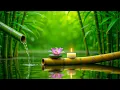 Download Lagu Genezende spamuziek met watergeluiden 🌼 Natuur- en pianoharmonie | Stressverlichting