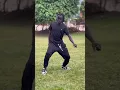 Download Lagu This challenge so simple #afrohouse #amapiano #amapianodance #dance #80sreggae #dancemusic #dancer
