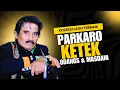 Download Lagu Parkaro Ketek - Karya Legendaris Odang S dari Tapsel Madina MP3