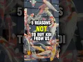 Download Lagu 🙅🏽‍♂️ 5 Reasons why you shouldn’t! #koi #fish #koifish #japan #japanesekoi #koipond