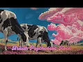 Lagu 【60's British Psychedelic Rock】PINK PRISM - Prism Before Sleep | Mind-Bending Journey [Full Album]