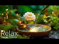 Download Lagu Instant Peace of Mind 🌿 Water Sounds \u0026 Relaxing Music, Anxiety Relief