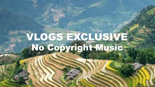 Download Norimaki – Jungle !! New Adventure Norimaki !! Vlogs Exclusive No Copyright Music MP3