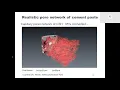 Multiscale Poromechanics of Wet Cement Paste