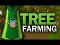 Complete Tree Farming Guide for OSRS