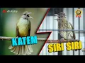 Download Lagu MASTERAN KAPAS TEMBAK VS SIRI SIRI FUL GACOR