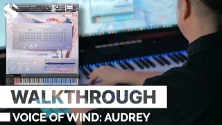 Download Walkthrough: Voice of Wind: Audrey MP3