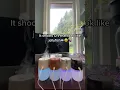 Download Lagu Lana Rhodes game me these cool diffuser #shorts #diffuser #lanarhoades