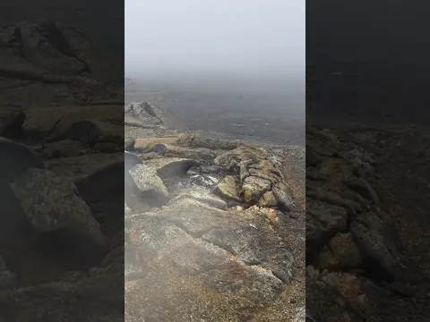 Valley of castrared rams, Iceland. 2021 lava