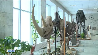 Новосибирские ученые нашли стоянку самого древнего человека