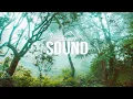Nick Leng ~ Inside Your Mind (TRAILS Flip)