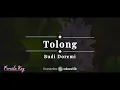 Tolong – Budi Doremi | KARAOKE AKUSTIK - FEMALE KEY