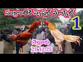 Lagu నెల్లూరు కోడి పుంజుల మార్కెట్ 21 12 25 Nellore Sunday kolla market Today #market Mr king