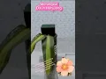 Download Lagu Merangkai Daun Hanjuang #flowerarrangement #flowers #beautiful #diy #shorts