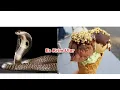 Download Lagu Suling Ular Cobra