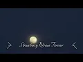 Welcome to Austin Texas Strawberry Moons Forever
