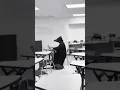 Download Lagu SCP Plague doctor meme