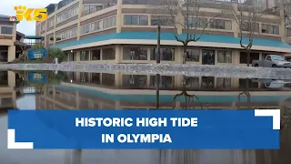 Historic high tide in Olympia