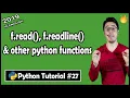 f read f readline f readlines in Python Python Tutorial