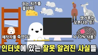 인터넷에 있는 잘못 알려진 사실들 알아보기