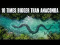 Lagu Found in Amazon... 10X Bigger Than Anaconda