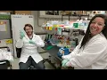 University of Michigan virtual lab tour