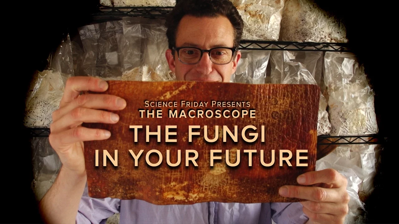 The Fungi in Your Future