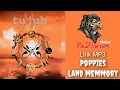 Download Lagu Pa2Vierson / Lirik MP3 / SLANK : Poppies land memory