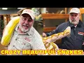 Angry Momma Python Defends Her Eggs I Had to Act Fast
