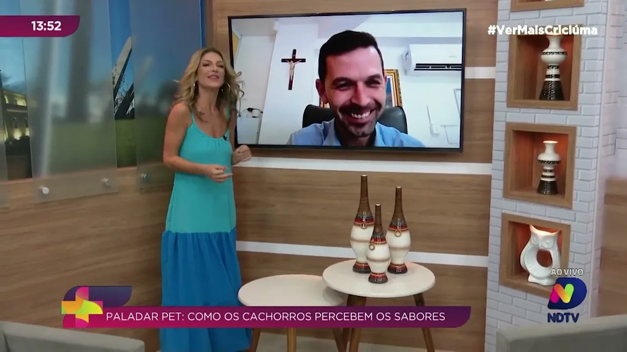 Paladar pet: como os cachorros percebem os sabores