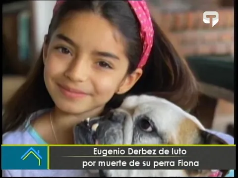 ¿Cómo afrontar la pérdida de una mascota?