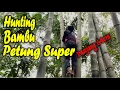 Download Lagu Hunting Petung Super