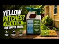 Simple Lawn Solutions Lawn Fertilizer Review and Demo