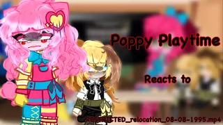 Poppy Playtime Reacts To RESTRICTED Relocation 08 08 1995 Mp4 TW Gore Gacha Club 