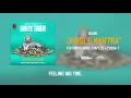 Jungle Mantra (From the Netflix Film "The White Tiger") (feat. Vince Staples & Pusha T) - DIVINE