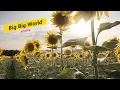 Download Lagu Big Big World 大千世界 / Emilia [ 中英歌詞 ]