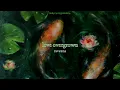 raveena - love overgrown. [traducción al español y lyrics]✿⁠ 