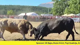 Uživo drugi krug kod Jerke Posušje