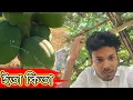 Lagu ইতা কিতা দেখলাম আমার বাগান অ ( Amir vlog )