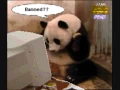 4Chan GIFs 2