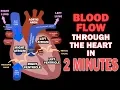 Download Lagu Blood Flow through the Heart in 2 MINUTES