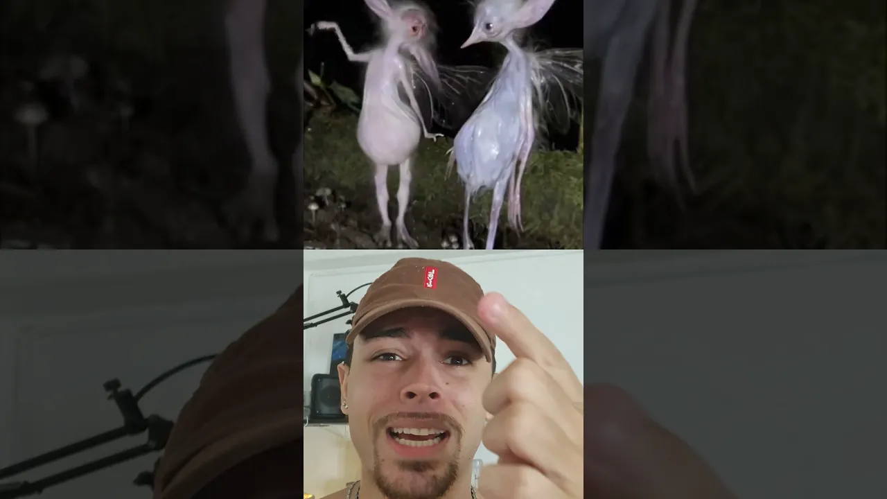 O QUE É ISSO?