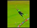Download Lagu Haris rauf excellent fielding effort⚡️🥶||#shorts #psl #levelhai