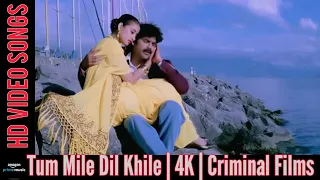 tum mile dil khile hd video song criminal songs akkineni nagarjuna manisha koirala kumar sanu