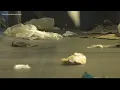 Jacksonville sending 85 fewer recyclables to recycling center since curbside pick up stopped